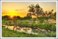Sunburnt Riverton Wetlands