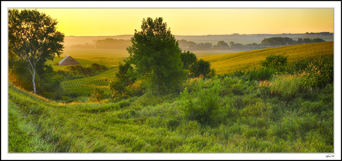 Golden Sunlight Mist