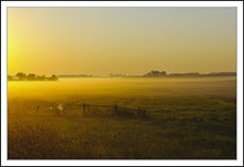 Silken Field