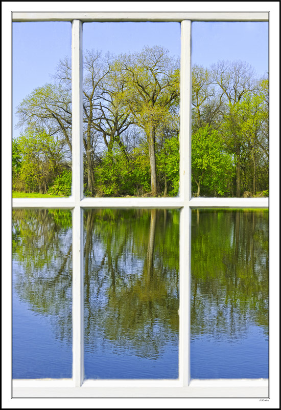 Through My Window - Reflecting Pond