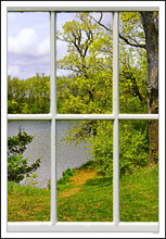 Through My Window - Lakeshore Pathway I