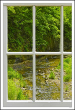 Through My Window - Peas Creek II