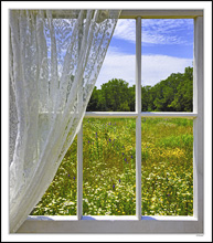 Through My Window - Wildflower Prairie And Lace