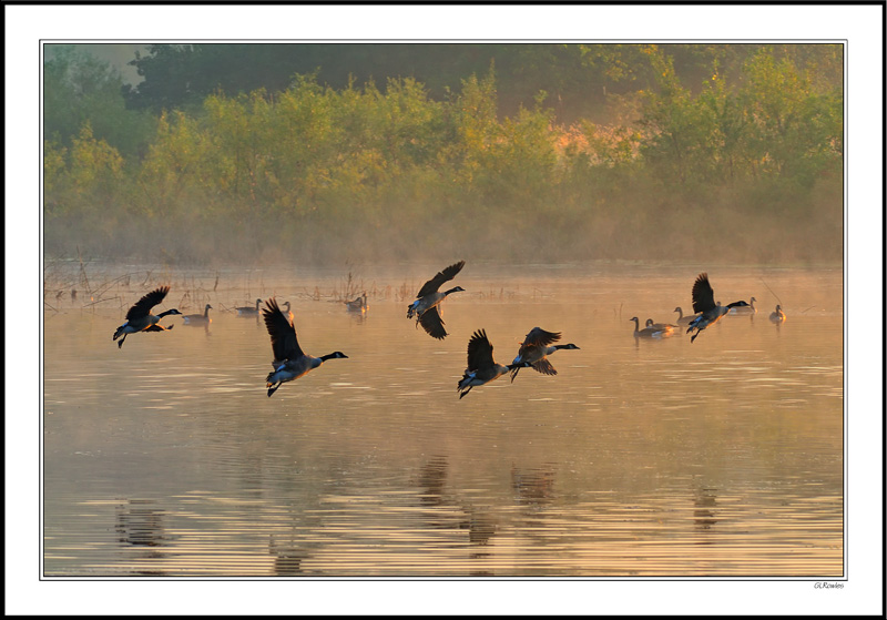 Taking Flight