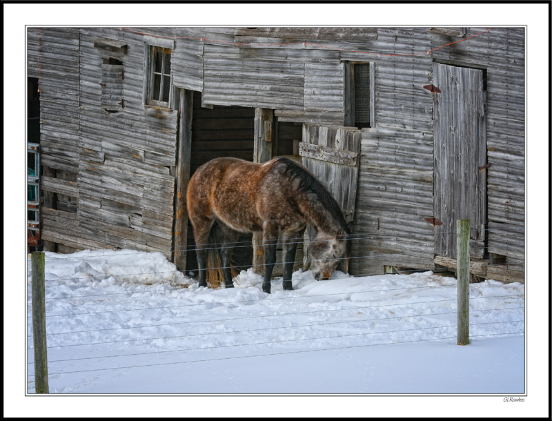 As Good A Place As Any For A Winter Nap