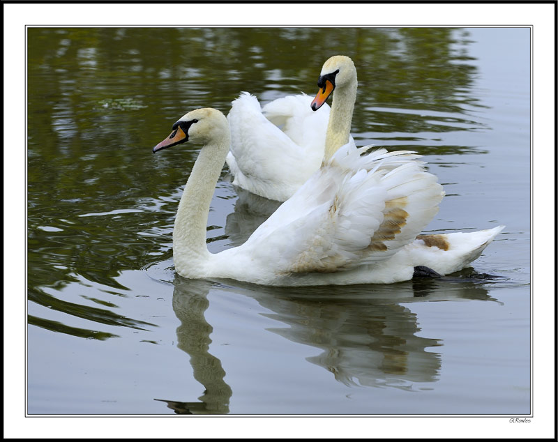 A Young Courting Couple