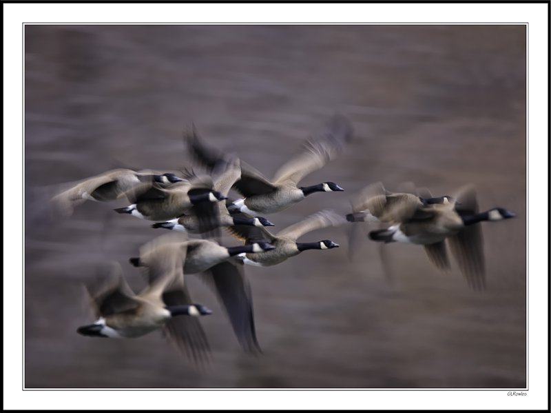 Canadian Flight