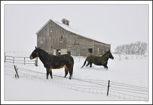 Winter Romp Warmup