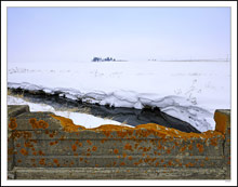 Wind-Sculpted Snow and Toadskin Lichen