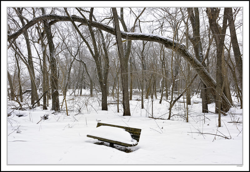 Wishbone Bench