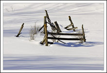 Snow Corral