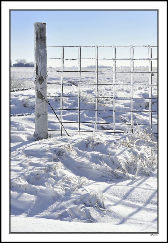 Ice Trellis