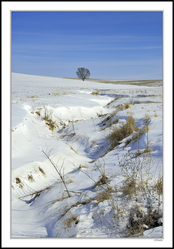 Lone Tree Gulch