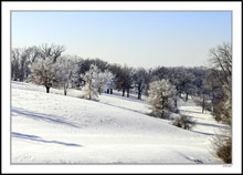 Toboggan Run