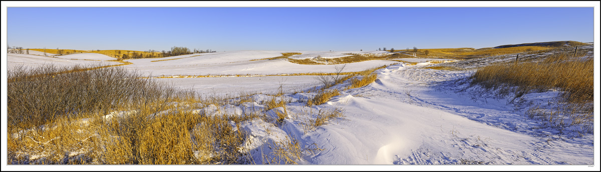 Winter Dunes