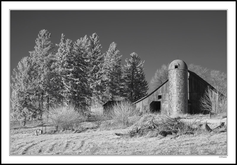 Pines and Silo