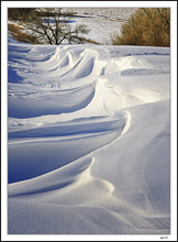 Rural Iowa's Wondrous Snow Dunes I