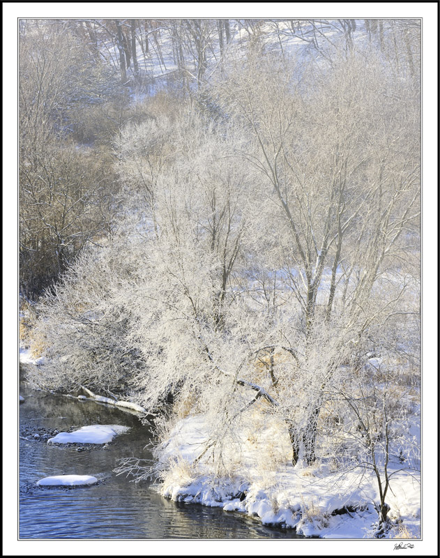 Hoar Frost And Freezing Mists Along Bluff Creek Spillway