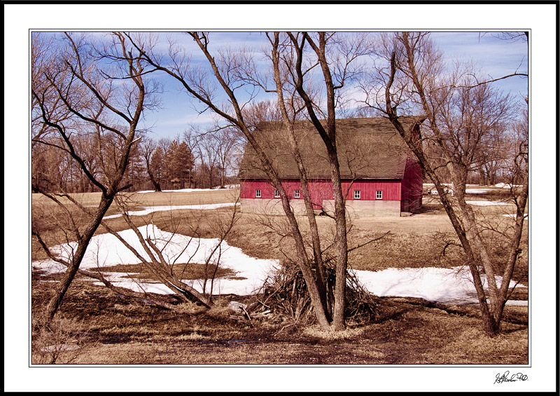 Spring Thaw At Briggs Woods