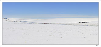 Remote Feedlot