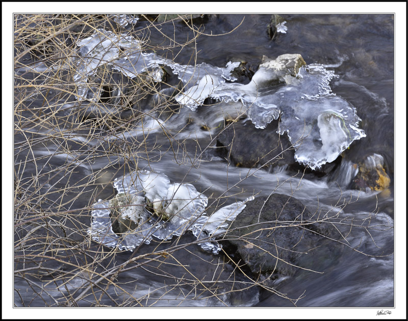 Crystalline Forms Seemingly Adorn Barren Branches