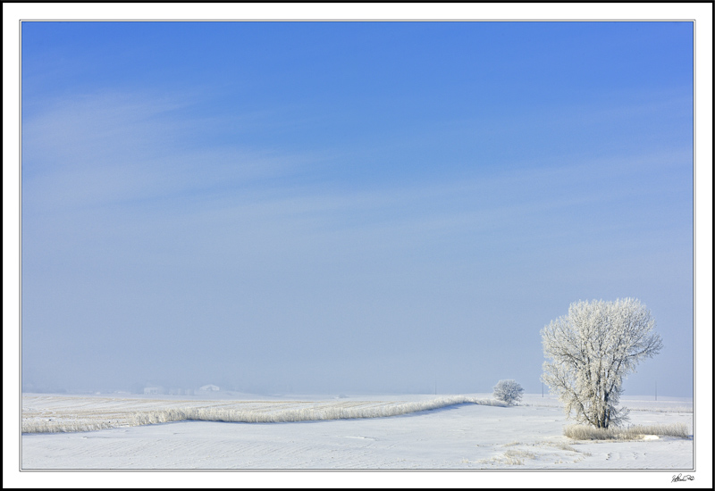 Vast Field Of Light And Frost Beneath A Clearing Sky