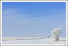 Vast Field Of Light And Frost Beneath A Clearing Sky