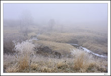 Prairie Creek Winds Its Mysterious Way Into The Fog I