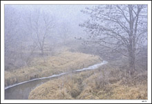 Prairie Creek Winds Its Mysterious Way Into The Fog II