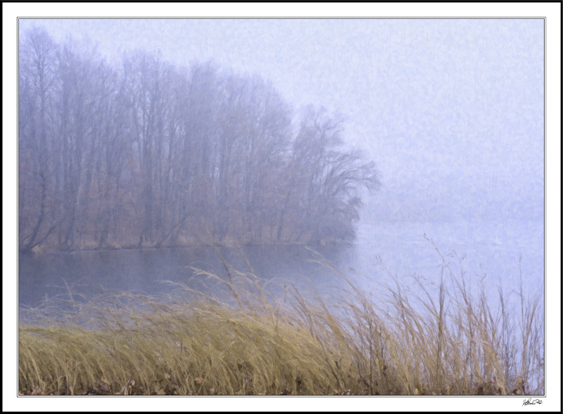 Blowing Grasses And Bending Silhouettes Loop Through The Fog