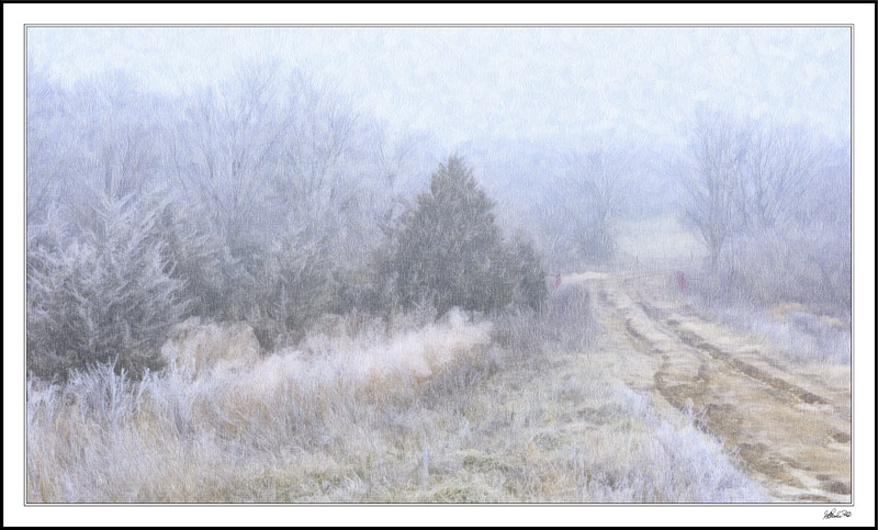 The Road Through Bucolic Tranquility