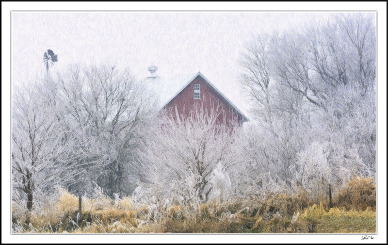 Barnyard Nested In Frosty Feathers