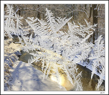 Winter Window View: First Light On Lundys Creek