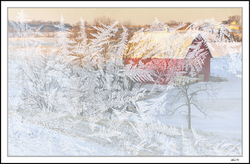 Winter Window View: Sun Rise Paints Tree Shadows On The Barn