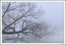 Early February Thaw: Feeling The Chill On Lake Cornelia