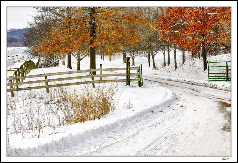 Warm Touch Of Color On The Home Drive