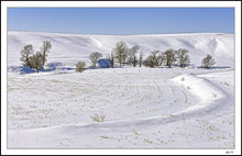 Winter Bowl