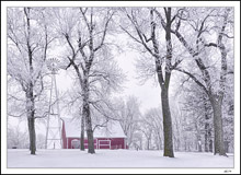 As The Fog Lifts Barren Trees Bear Rime Frost Foliage