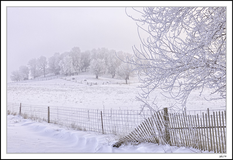 Feel The Frosty Air