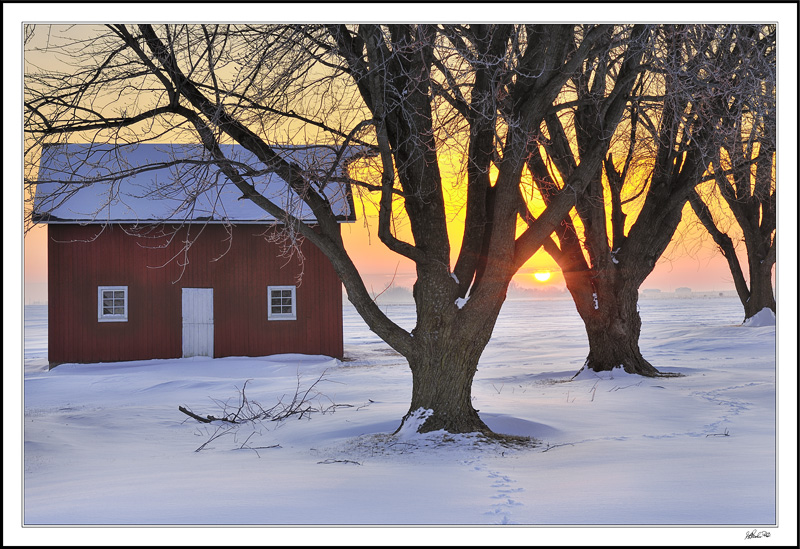 A Cheerful Sunrise