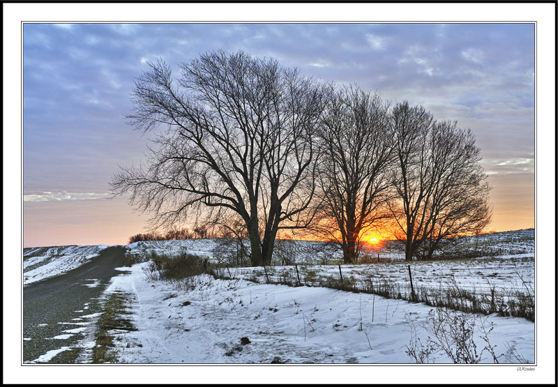 Three Trees Breakthrough