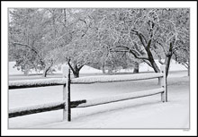 Snow Plastered Split Rails