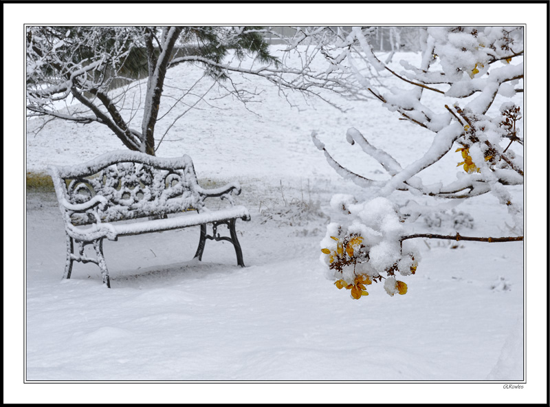 Snow Corsage