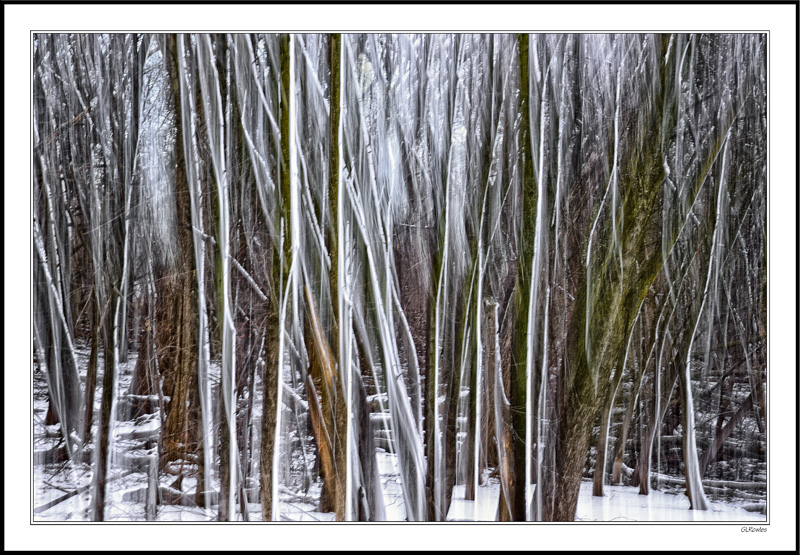 Snow Feathers II