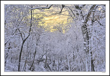 Frosty Morning Warmth