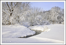 Sculpted Winter Beauty I