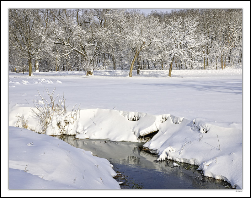 Sculpted Winter Beauty II