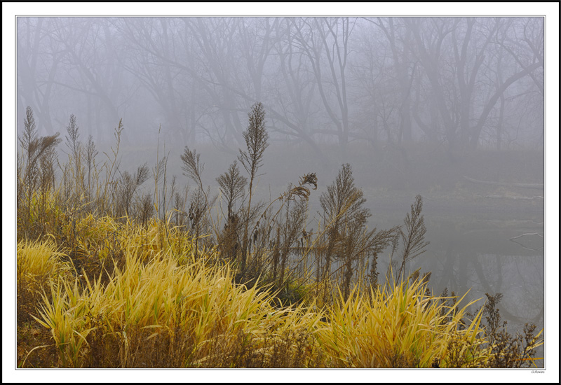 Autumn's Winter Defiance