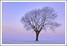 Moonset Pastels