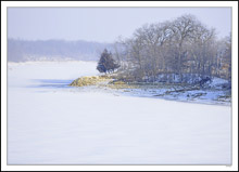 Pine Jetty